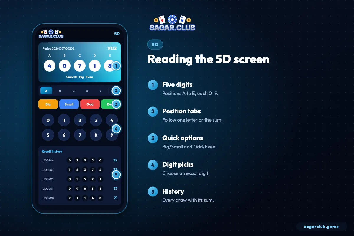 Reading the Sagar Club 5D screen – annotated